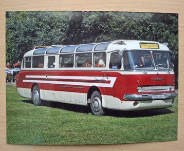 Foto van bus Ikarus 55 in DDR beschikbaar voor biedingen