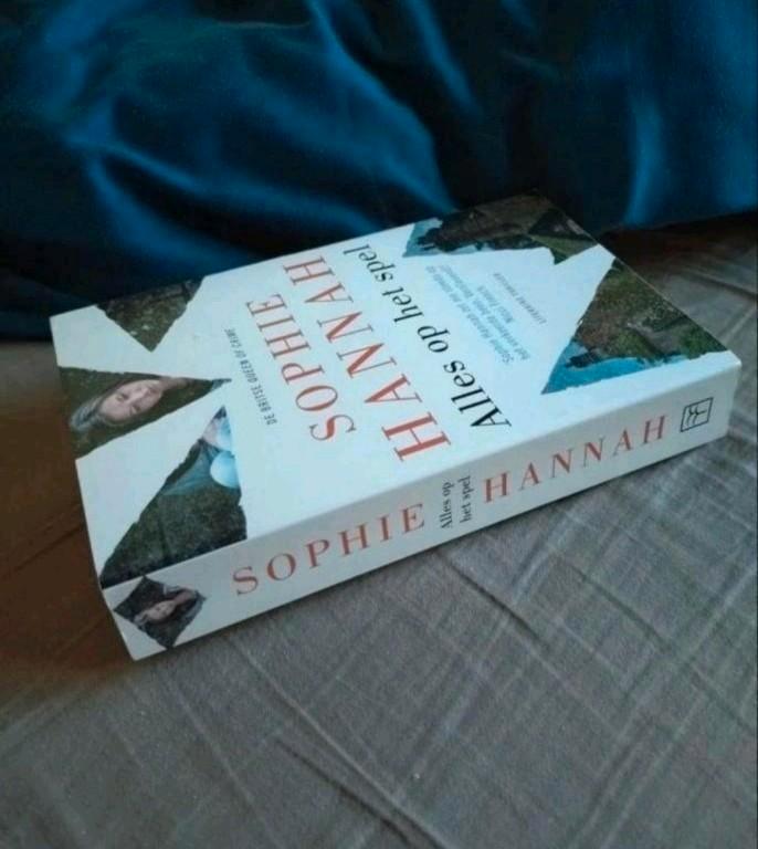 Hannah Sophie - Alles op het Spel, Boeken, Thrillers, Gelezen, Ophalen of Verzenden