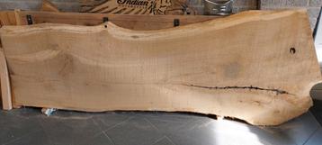 eiken boomstamblad beschikbaar voor biedingen