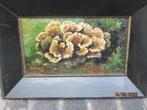 Natuur, Olieverf schilderijtje Paddestoelen AG EIMERS, Antiek en Kunst, Kunst | Schilderijen | Klassiek, Ophalen