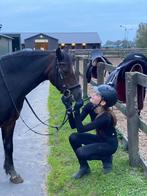 Verzorg pony/paard gezocht, Ophalen of Verzenden, Zo goed als nieuw