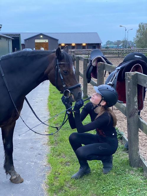 Verzorg pony/paard gezocht, Dieren en Toebehoren, Paarden en Pony's | Verzorgingsproducten, Zo goed als nieuw, Ophalen of Verzenden