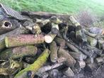 Brandhout droog! Stammen, Ophalen of Verzenden, Overige houtsoorten