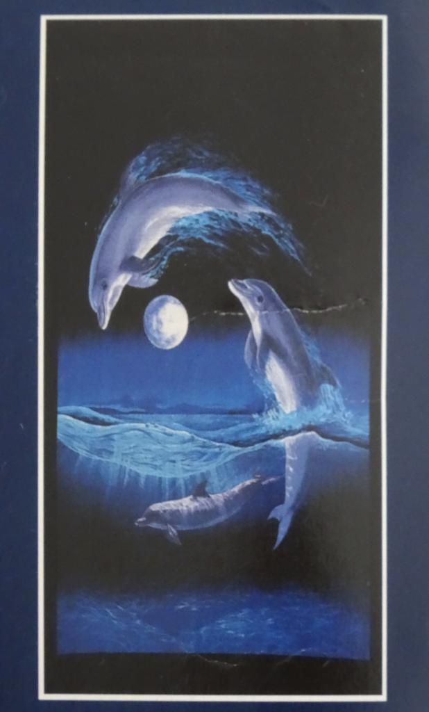 Mooie kwaliteit strandlaken met spelende dolfijnen *NIEUW*, Huis en Inrichting, Badkamer | Badtextiel en Accessoires, Nieuw, Ophalen of Verzenden