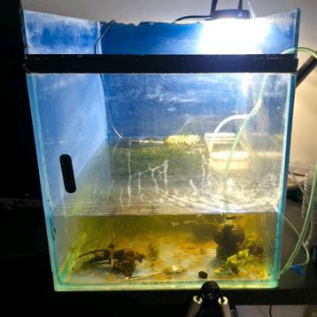 Aquarium (kweek) beschikbaar voor biedingen