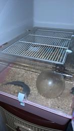 Kooi, Ophalen, Nieuw, Overige typen