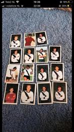 Fc den bosch panini vanderhout 1971-1972, Verzamelen, Ophalen of Verzenden, Gebruikt, Overige binnenlandse clubs