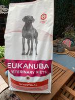 Uekanuba intestinal, Ophalen, Hond