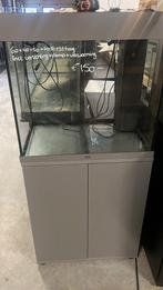 Aquarium 60x40x50 met onderkast 132 hoog met licht, Dieren en Toebehoren, Vissen | Aquaria en Toebehoren, Ophalen, Zo goed als nieuw