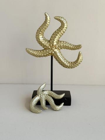 Zeester Decoratie op Houder beschikbaar voor biedingen