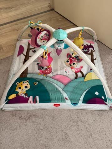 Tiny love babygym beschikbaar voor biedingen