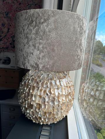 Grote schelpen lamp beschikbaar voor biedingen