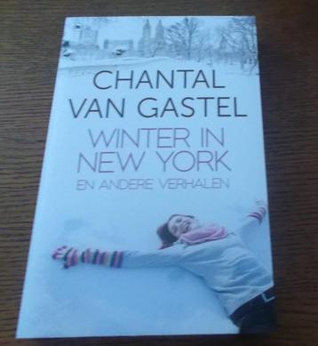 Winter in New York / Chantal van Gastel beschikbaar voor biedingen