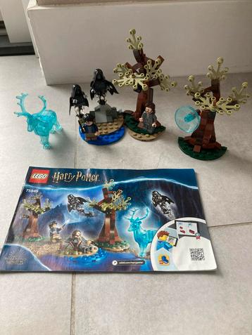 Lego Harry Potter 75945 Expecto Patronum - Bijna Compleet beschikbaar voor biedingen