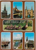 Friesland Gelopen Ansichtkaart ( 1119 ), Ophalen of Verzenden, Voor 1920, Gelopen, Friesland