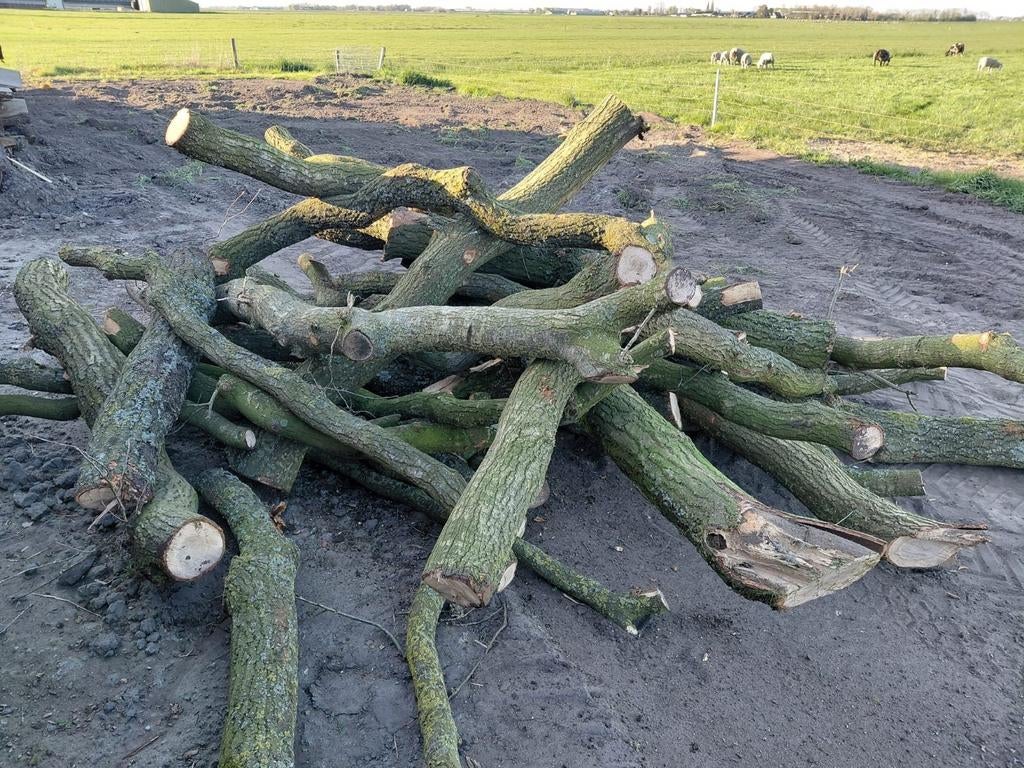 Haardhout, kachelhout, Ong. 3 kuub Eiken stammetjes,, 3 tot 6 m³, Ophalen, Eikenhout, Stammen