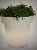 BLOOM! Originele witte bloempot 60 cm, Ophalen of Verzenden, Gebruikt, Rond, Kunststof