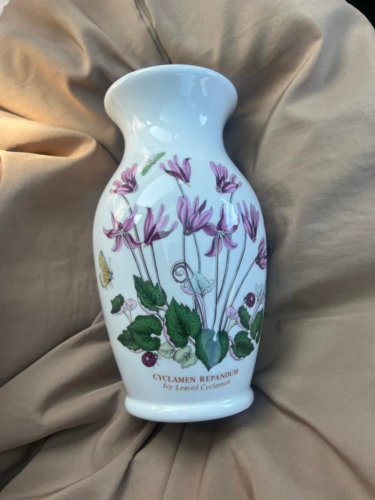 Portmeirion Botanic Garden Cyclamen Repandum Canton Vaas, Ophalen of Verzenden