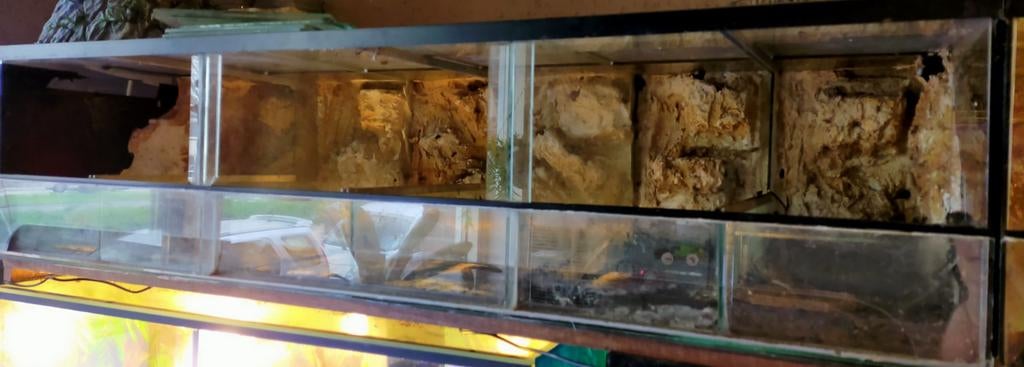 Terrarium 3 in 1., Dieren en Toebehoren, Reptielen en Amfibieën | Toebehoren, Ophalen