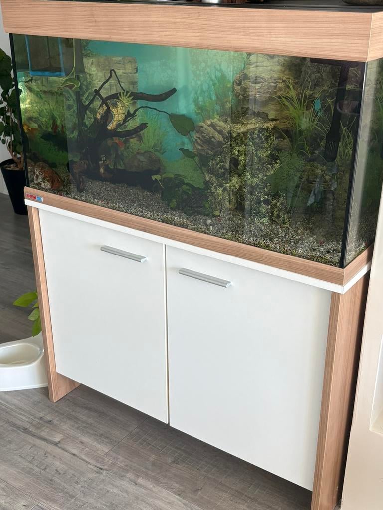 Aquarium met alles erop en er aan-180 L, Telecommunicatie, Vaste telefoons | Niet Draadloos, Ophalen of Verzenden, Zo goed als nieuw