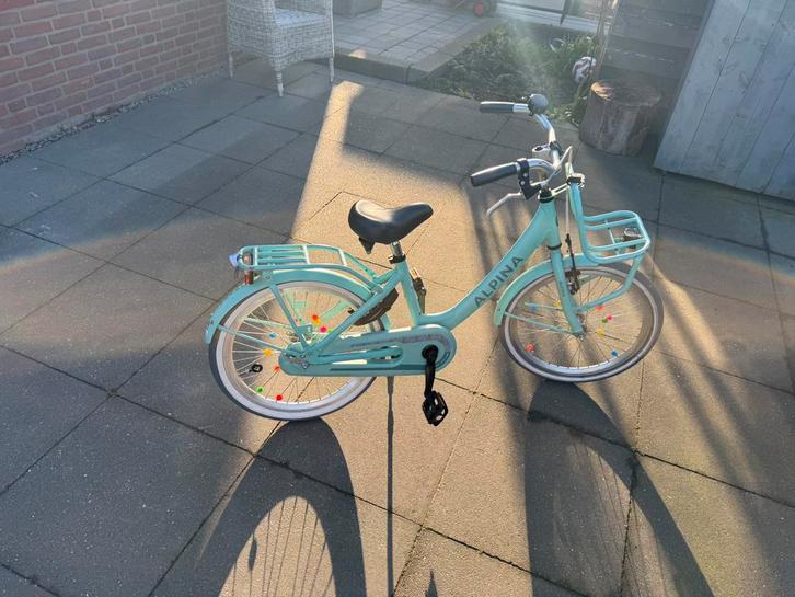 Alphina club 20 inch meisjes fiets, Fietsen en Brommers, Fietsen | Oldtimers, Minder dan 47 cm, Ophalen of Verzenden