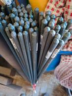 67 Plantenstaken- planten ondersteuning, Ophalen, Overige soorten, Volle zon