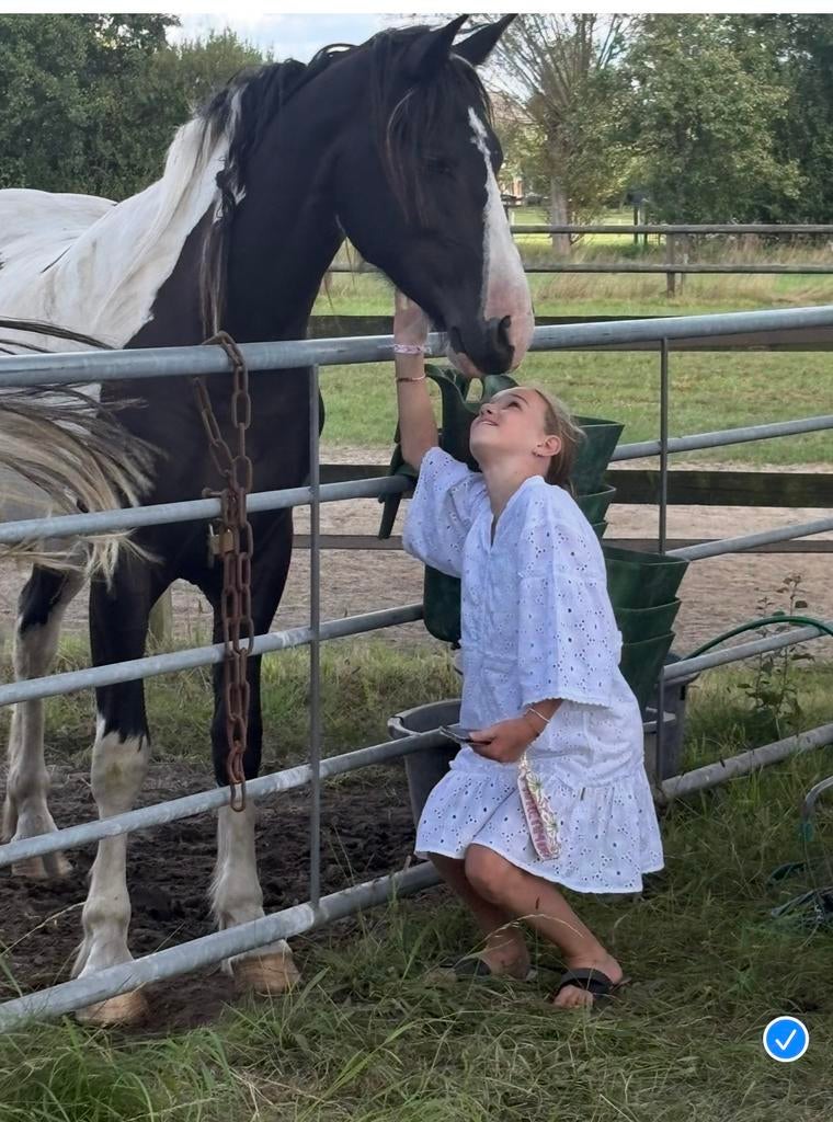 Lieve en ervaren jonge ruiter (12) zoekt verzorgpony, Ophalen