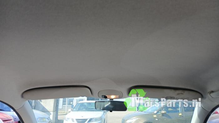 Hemelbekleding van een Peugeot 206 PLUS, Auto-onderdelen, Interieur en Bekleding, Gebruikt, -, -, Ophalen of Verzenden