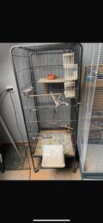 3 vogel kooien, Dieren en Toebehoren, Ophalen of Verzenden, Zo goed als nieuw, Metaal, Vogelkooi