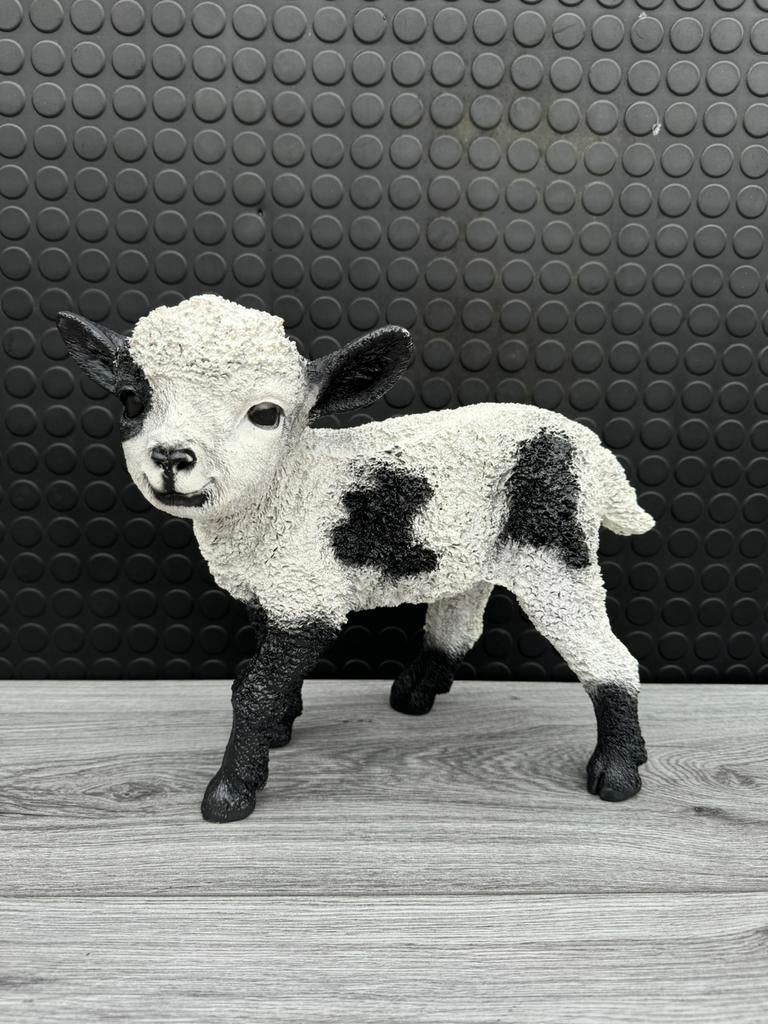 lammetje 28hoog 35breed/Nieuw!, Verzamelen, Beelden en Beeldjes, Ophalen of Verzenden, Nieuw, Dier