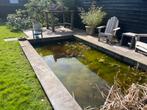 Gratis vijverrand blue stone gebruikt, Tuin en Terras, Vijvers, Ophalen, Gebruikt