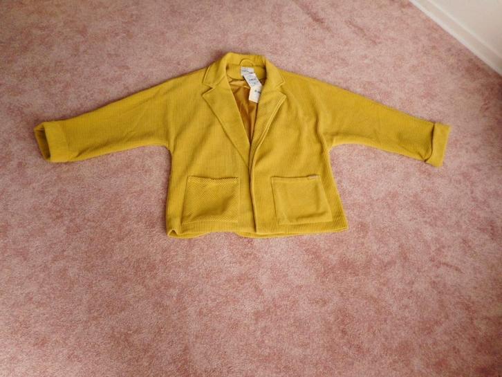 Nieuwe tussen jasje Harper & Yve M/L Oversized Mosterd kleur, Kleding | Dames, Jassen | Zomer, Nieuw, Maat 38/40 (M), Overige kleuren