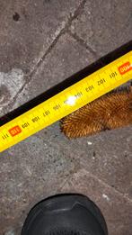 Brocante kunst distel tak, Ophalen of Verzenden