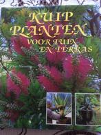 Kuipplanten voor tuin en terras, Boeken, Ophalen of Verzenden, Zo goed als nieuw