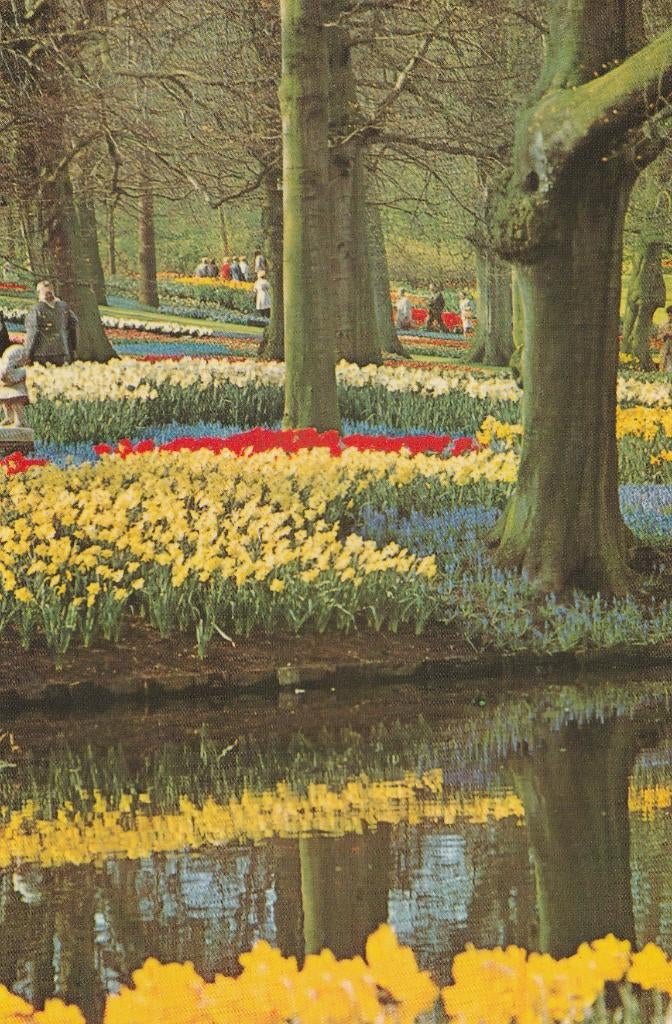 LISSE Keukenhof, Verzamelen, Ansichtkaarten | Nederland, Gelopen, Zuid-Holland, 1960 tot 1980, Verzenden
