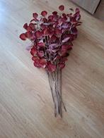 Rode eucalyptus takken, Huis en Inrichting, Woonaccessoires | Kunstplanten en Kunstbloemen, Ophalen, Nieuw