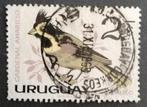 URUGUAY - vogel, Verzenden, Gestempeld, Zuid-Amerika
