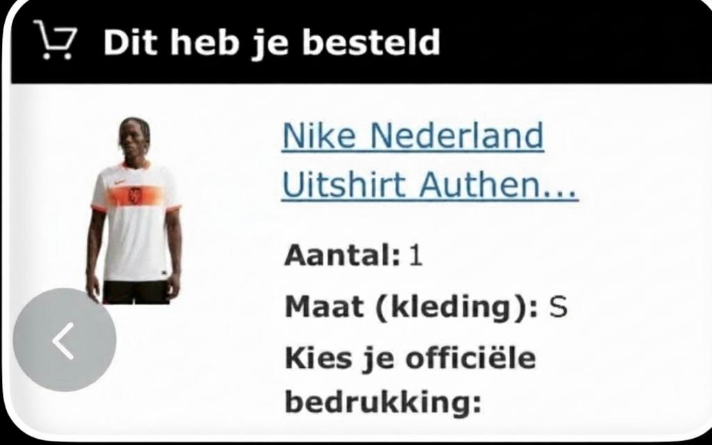 Nederlands Elftal WK Shirt Maat S, Ophalen of Verzenden, Nieuw, Maat 46 (S) of kleiner, Oranje