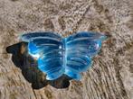 Geweldig aquamarijn vlindertje, Ophalen of Verzenden