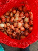 Kleine ui, Ophalen of Verzenden