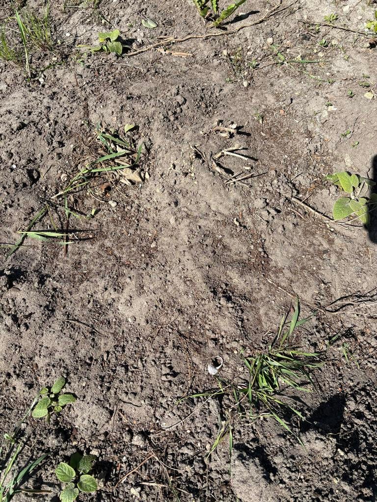 Gratis zwarte tuingrond, Ophalen, Gebruikt, Overige typen