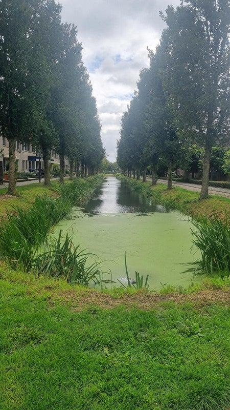 NIEUW! Woonruimte te huur Rietkraag, Lopik