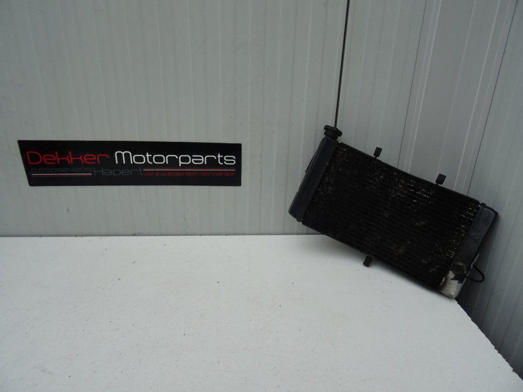 Radiateur / Radiator Honda CBR900RR Fireblade 1996-1997 SC33, Gebruikt, -, -, Ophalen of Verzenden