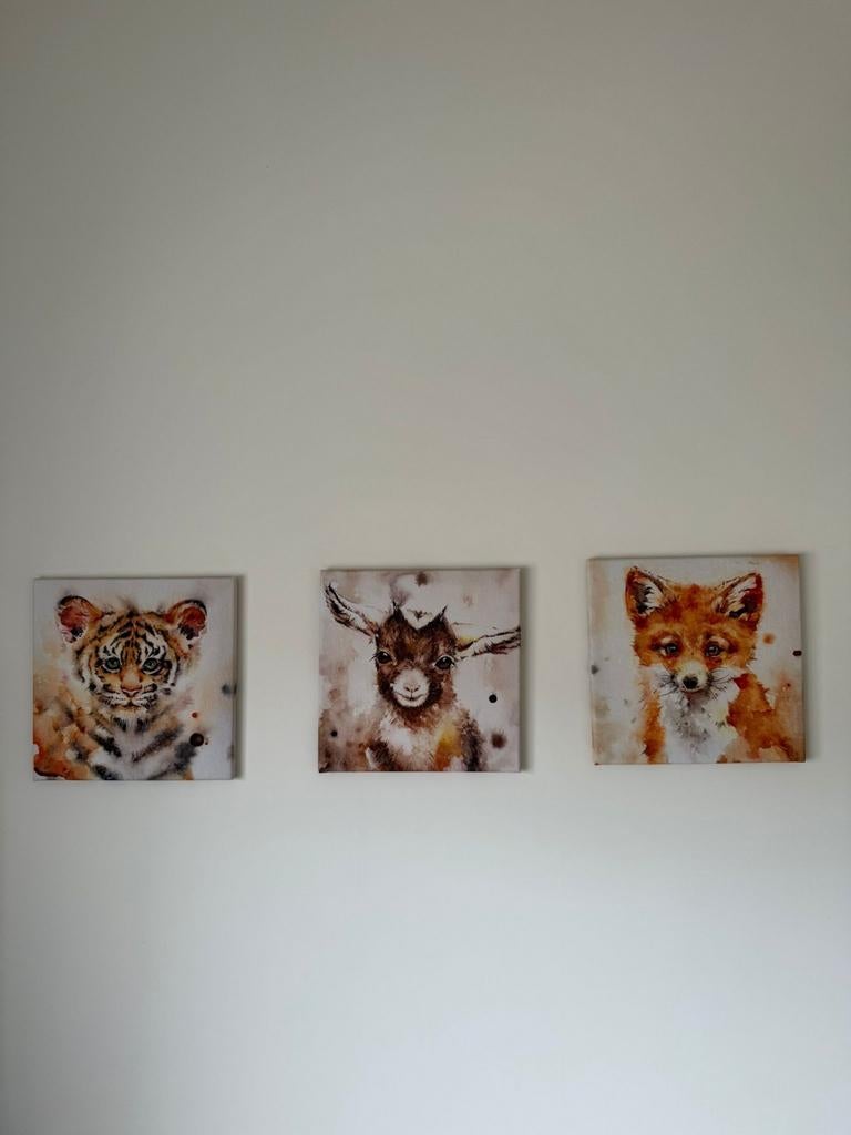 Schattige schilderijen.  30 x 30 cm Wolf geit tijger, Ophalen of Verzenden