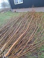 Wilgen takken, Ophalen