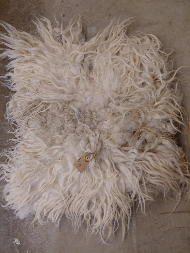 Gevachtvilte schapenvacht 70x60 cm - Wasbaar, 50 tot 100 cm, Nieuw, Overige vormen, Crème