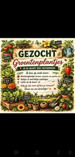 Gezocht groentenplantjes in de buurt van Sassenheim, Ophalen