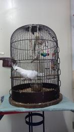 Zolux Vogelkooi Retro Marthe 4 x, Ophalen of Verzenden, Zo goed als nieuw, Metaal, Vogelkooi