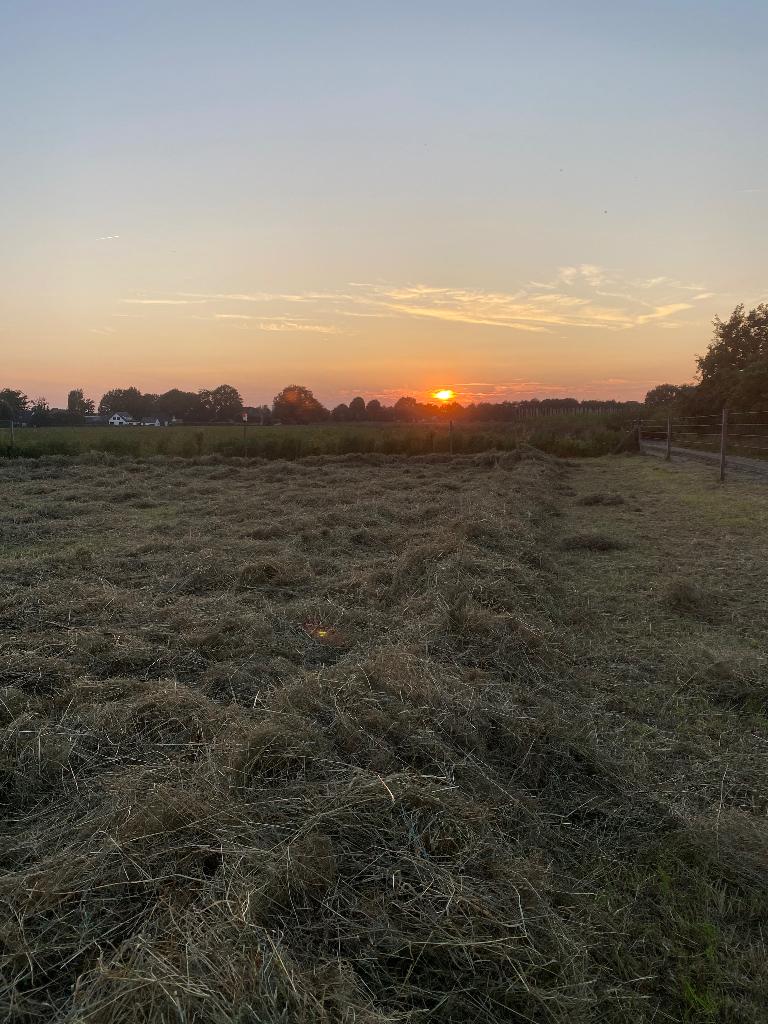 Kleine baaltjes hooi 18 a 20 kilo, Dieren en Toebehoren, Dierenvoeding, Ophalen, Vee