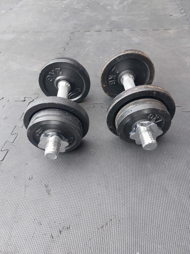 Set dumbells 2x10kg, Ophalen, Zo goed als nieuw, Benen, Dumbbell